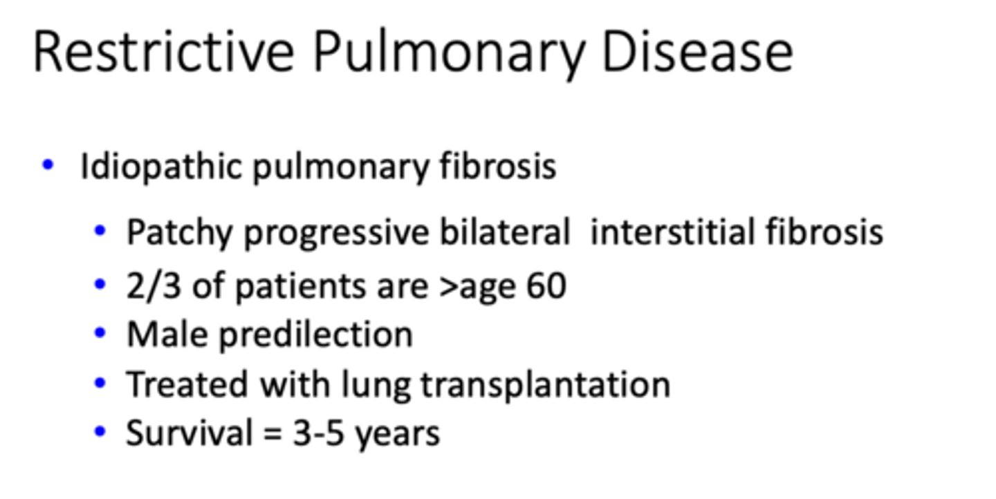 <p>Idiopathic pulmonary fibrosis</p>