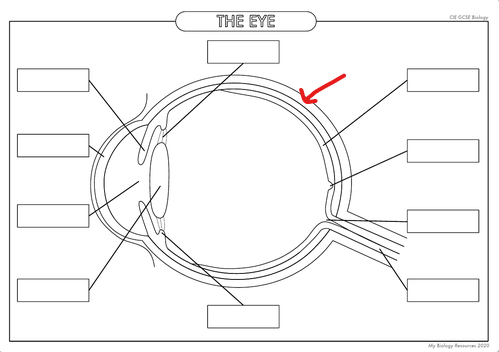 <p>What is the part in the diagram called?</p>