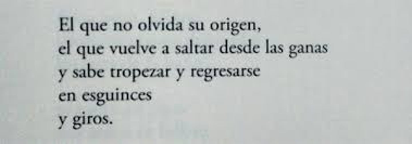 <p>line / verse</p>