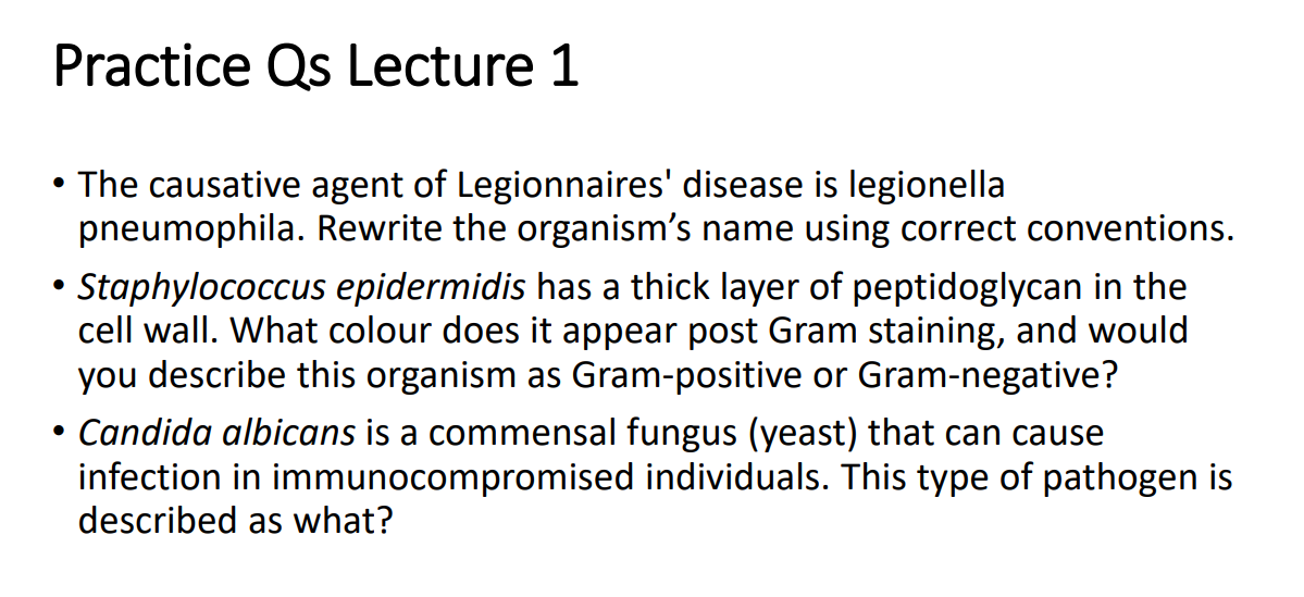 <p>Practice Question 1</p>