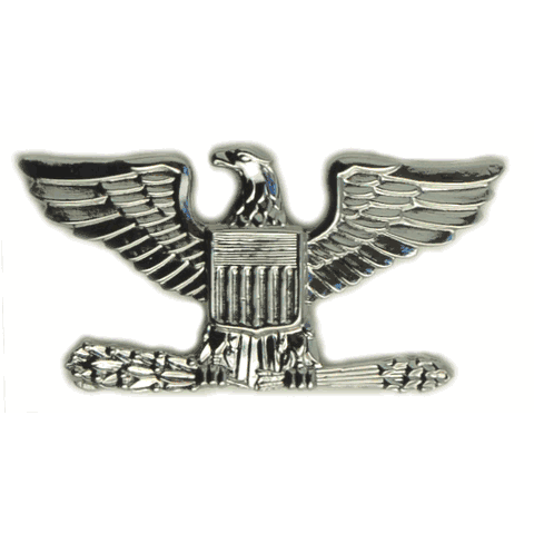 <p>one silver spread eagle</p>