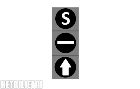 <p>What does a white arrow-shaped traffic light signal on a black background mean?</p>