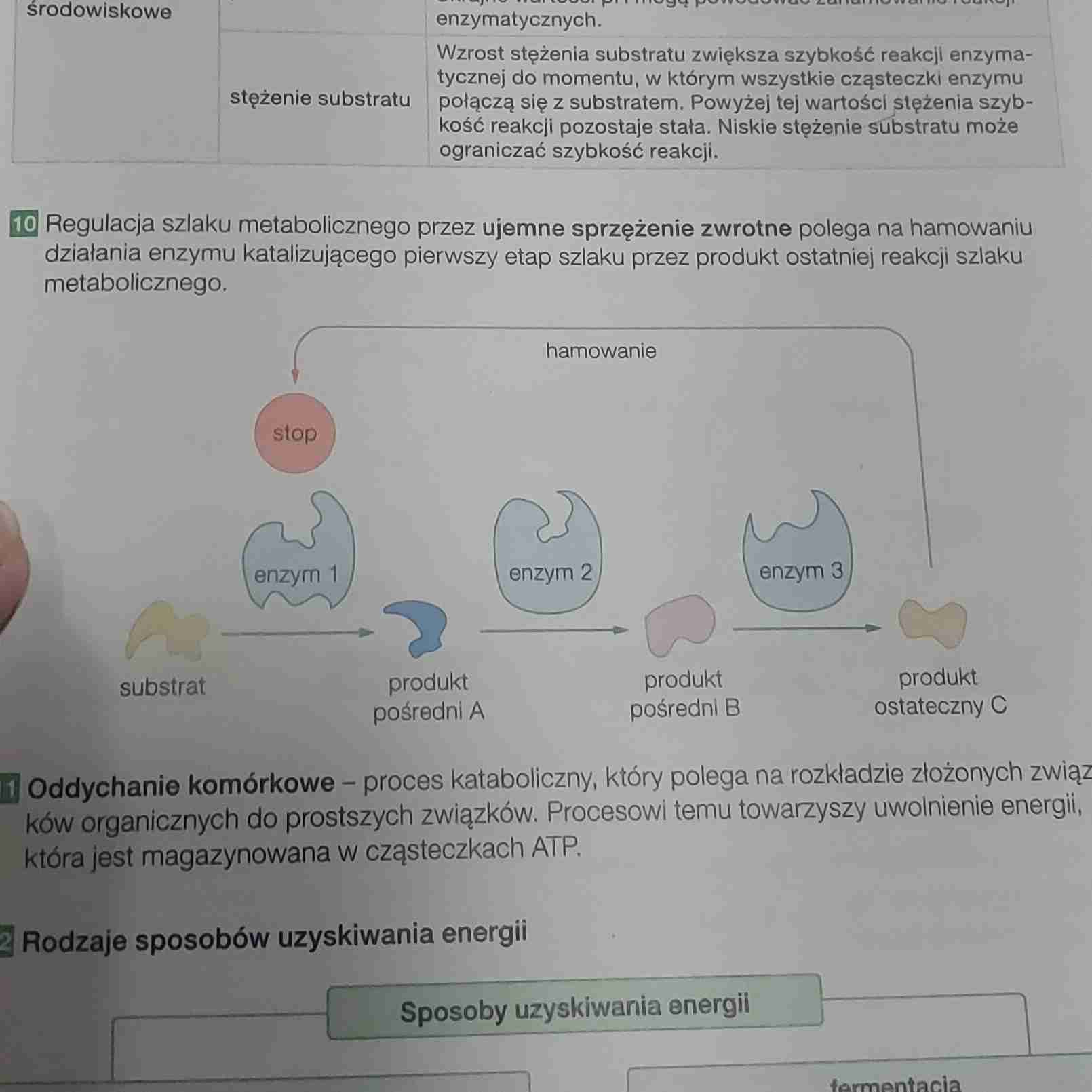 <p>Hamowanie szlaku metabolicznego przez jego produkt końcowy</p>
