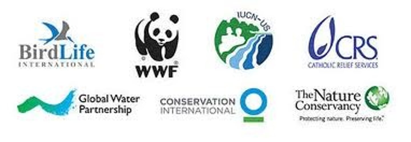 <p>NGO (non-governmental organization; Nichtregierungsorganisation)</p>