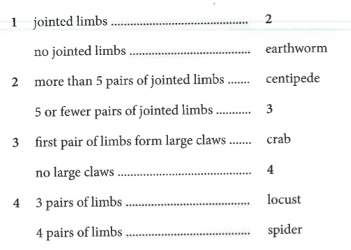 <p>A dichotomous key is a tool used to identify organisms by following a series of paired statements, where each choice leads to the next pair, until you end up with the name of your organism</p>