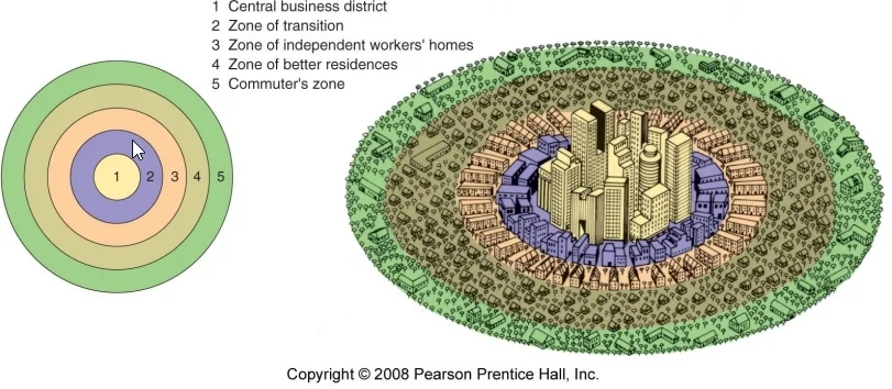 <p>an urban model used to describe how cities grow in a series of concentric rings radiating from a central business district (CBD). </p>