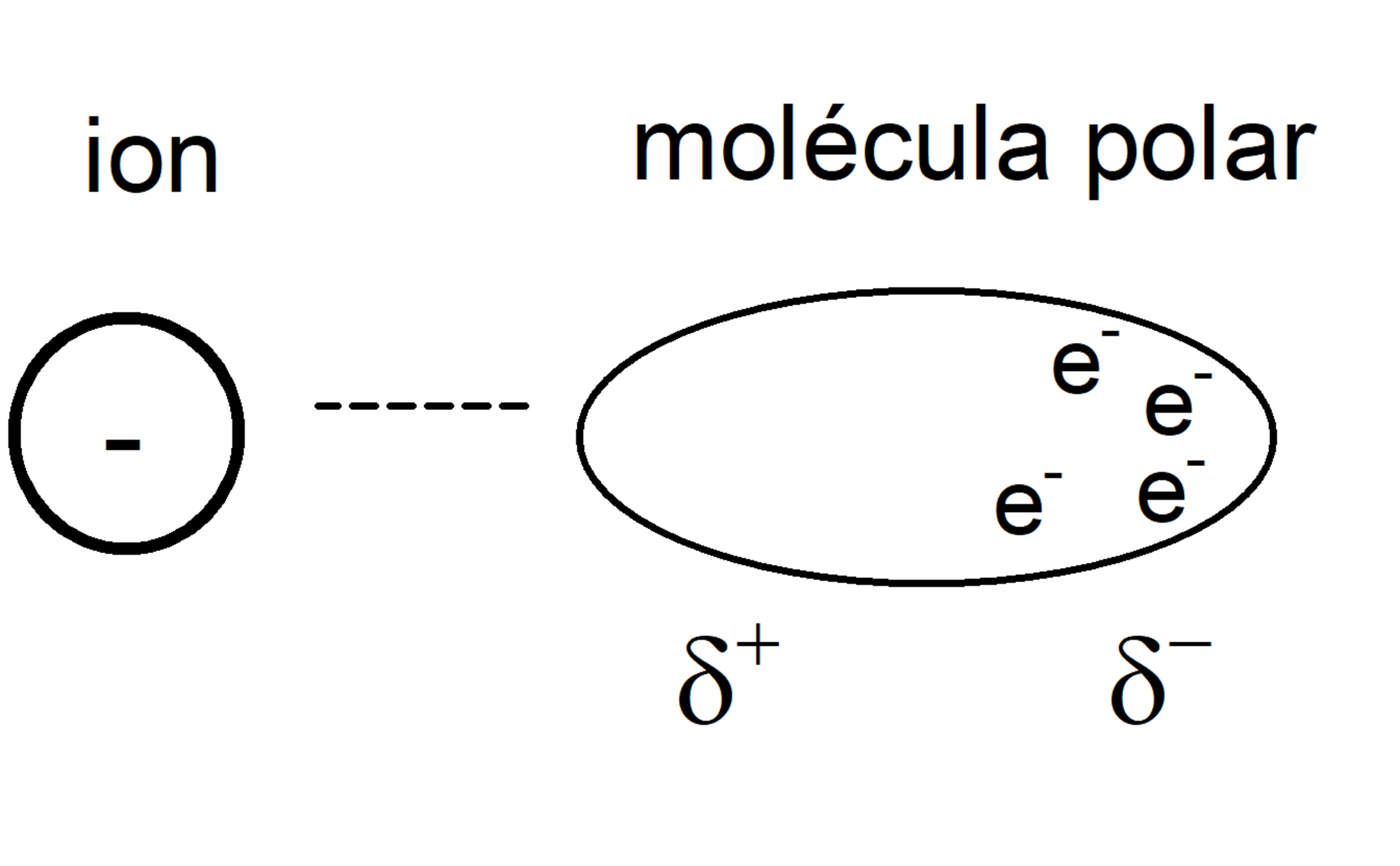 <p>Entre Ion y molécula polar.</p><p>Puede romper interacciones Ion-Ion.</p>