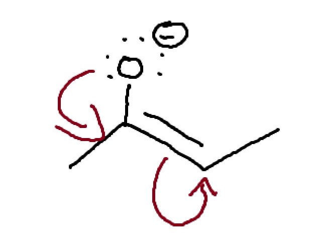 <p>allylic lone pair </p>