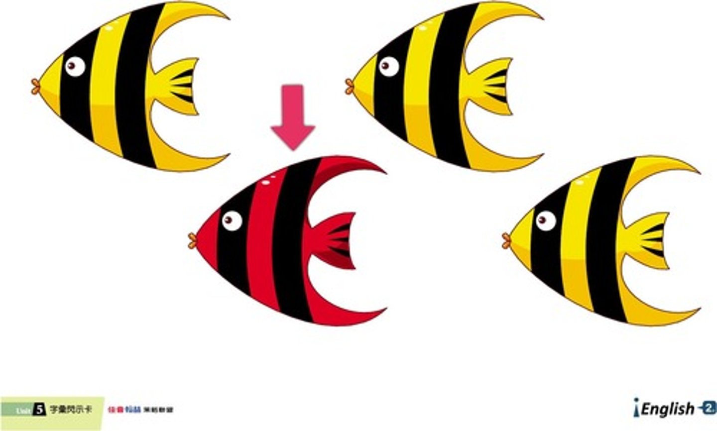 <p>not the same: khác nhau</p>