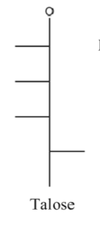 <p>hex- aldose</p><p>L, L, L, R</p>
