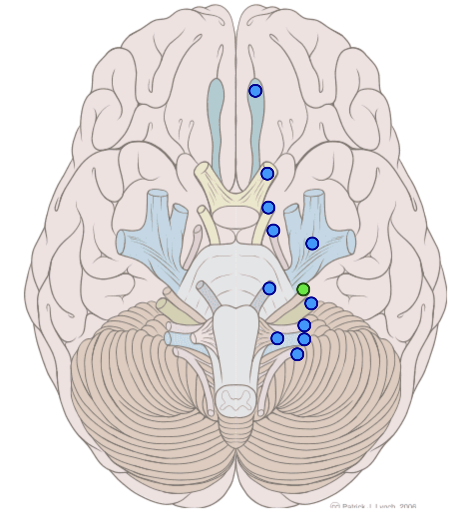 knowt flashcard image