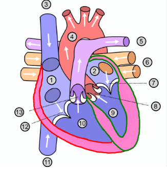 <p>What is number 6?</p>