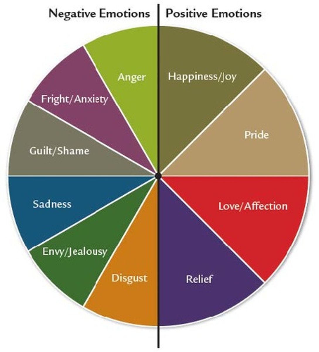 <p>pleasant or desirable responses that range from interest and contentment to love and joy (indicating overall well-being and enhancing future growth and success)</p>