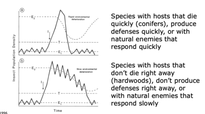 <p>a) Rapid Environmental Deterioration<br>--&gt; species with hosts that die quickly (conifers), produce defences quickly, or with natural enemies that respond quickly<br><br>b) Slow environmental deterioration <br>--&gt; species with hosts that don't die right away (hardwoods), don't produce defences right away, or with natural enemies that respond slowly</p>