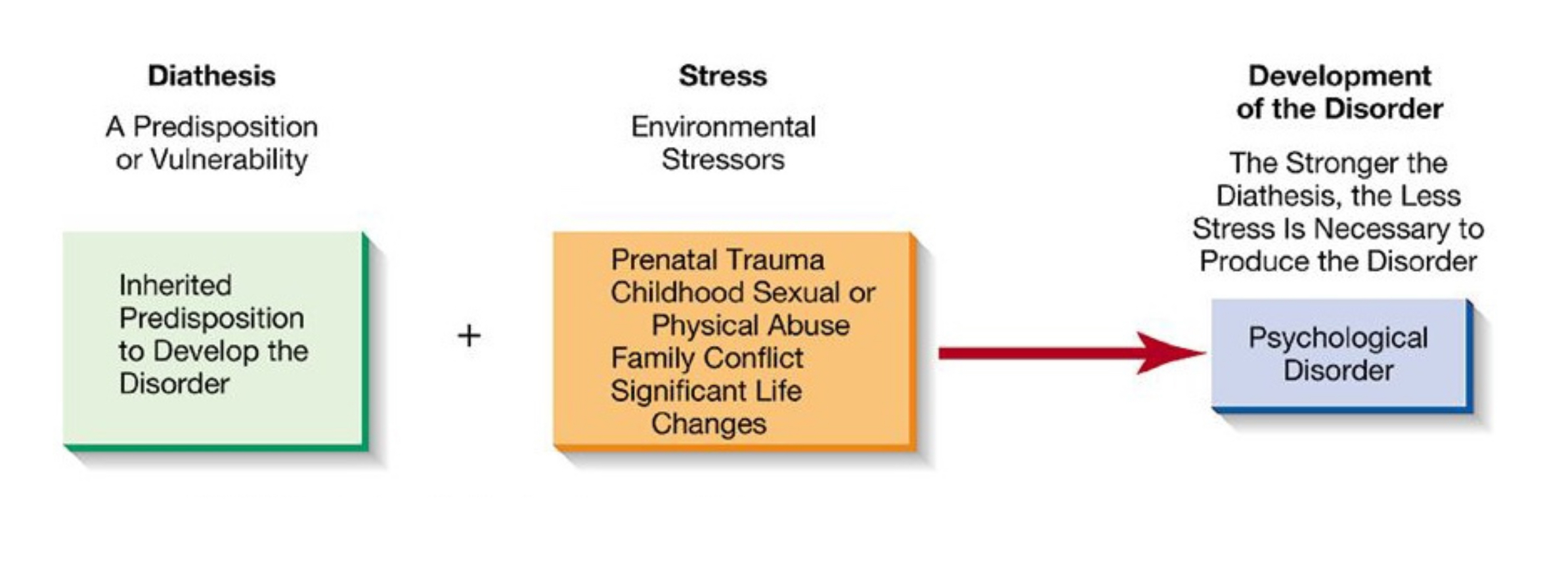 <p>Diathesis-Stress Model</p>