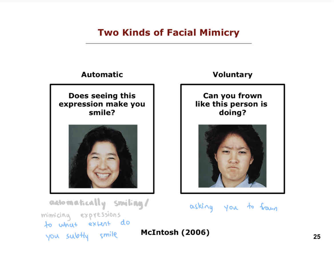 <p>Automatic: E.g. automatically smiling/mimicking an expression</p><p>Voluntary: Being asked to mimick a frown</p>