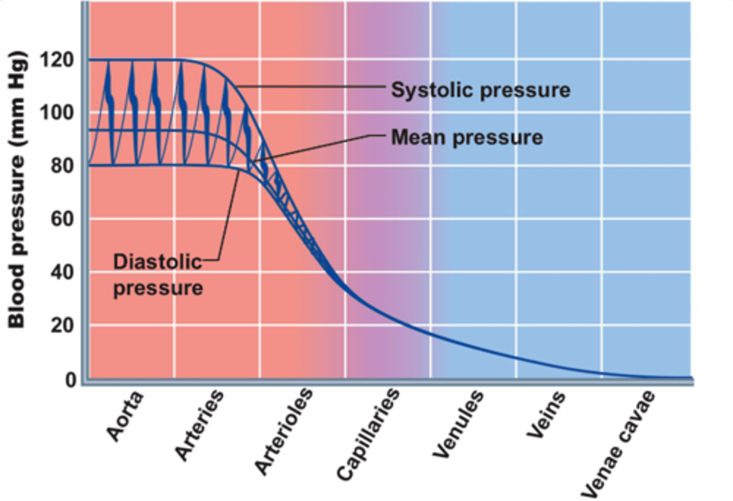 <p>pressure forcing blood into tissues, averaged over cardiac cycle</p>