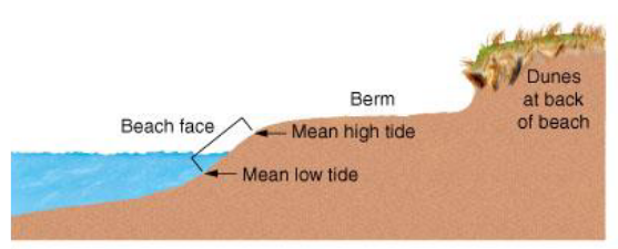 <p>Gently sloping depositional surfaces washed over by waves and covered by sediment</p><p>Change seasonally with more fine grained sand in the summer and rocky during the winter, This is because of wave energy and the resulting movement of sand and other sediments (winter = less waves but stronger, summer = more waves but weaker)</p>