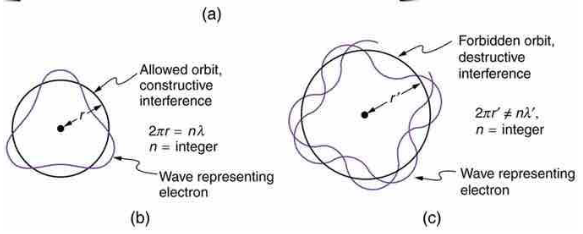 <p>you need exact number of wavelengths going around the circumference so it starts to overlap</p><p>2πr = n𝜆 (circumference)</p>