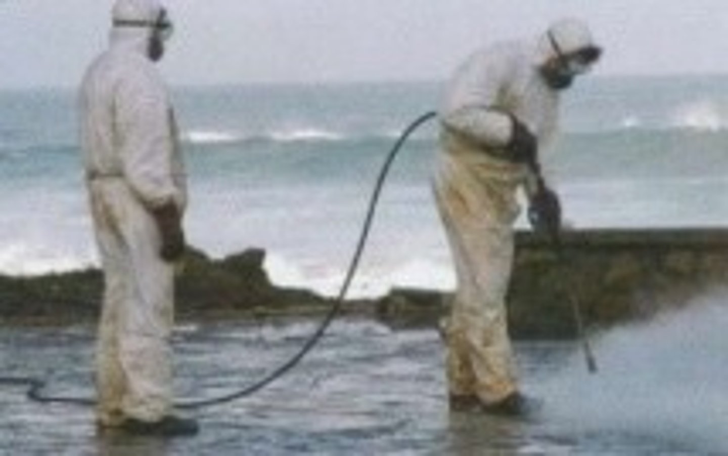 <p>Oil on beaches can be washed off using steam</p><p>Does not destroy the oil, but removes it from particularly sensitive habitats</p><p>But tbh the steam may kill the organisms deeper in the sediments that weren't even affected by the oil</p>