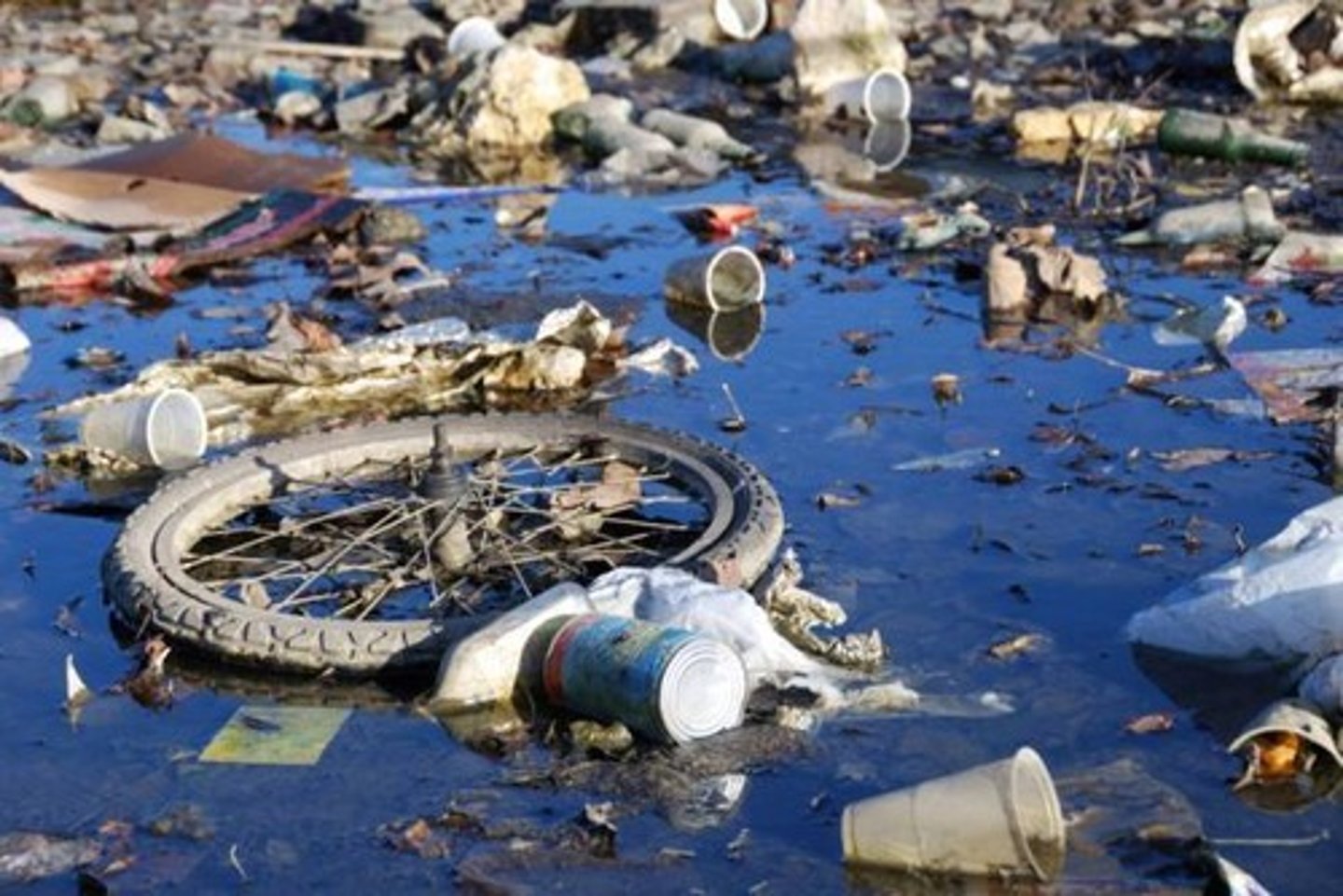 <p>water pollution</p>