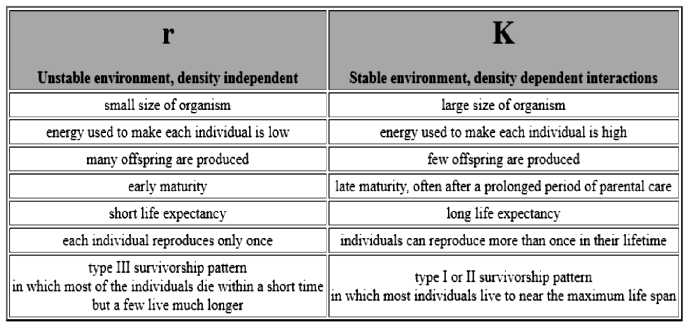 <p>r-select species </p>