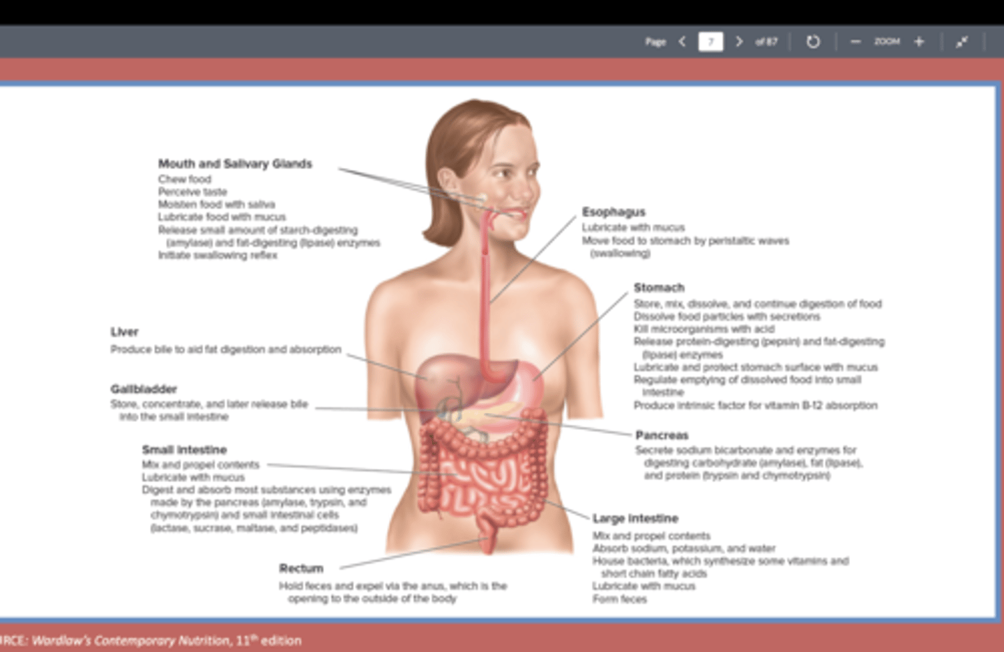 knowt flashcard image