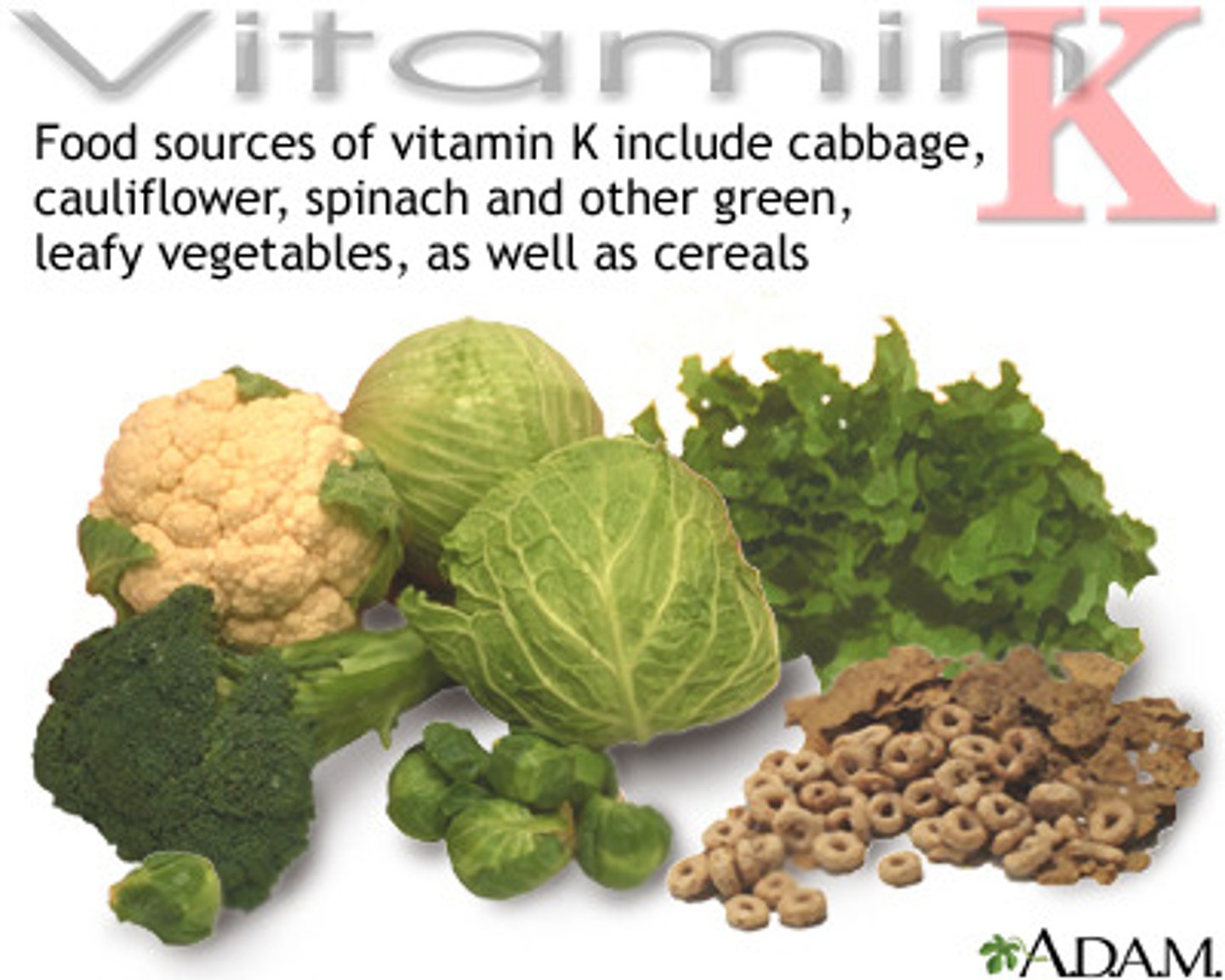 <p>Vitamin K is needed for the creation of 4 clotting factors</p>