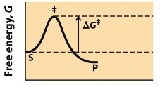 <p>what happens to a substrate when there is no enzyme?</p>