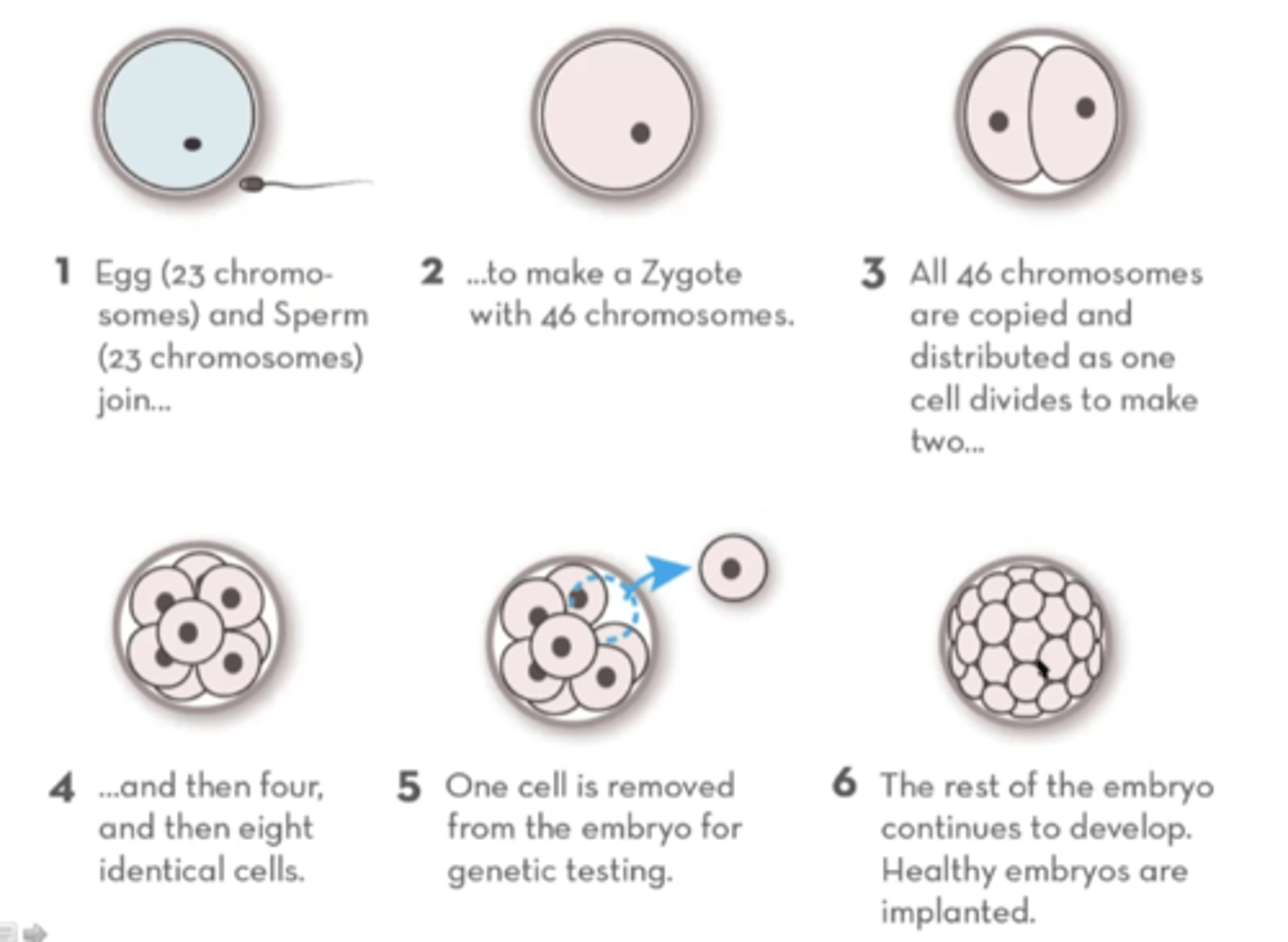 <p>genotyping multiple fertilized embryos for the best fit for parents and then implanting into the mother</p>
