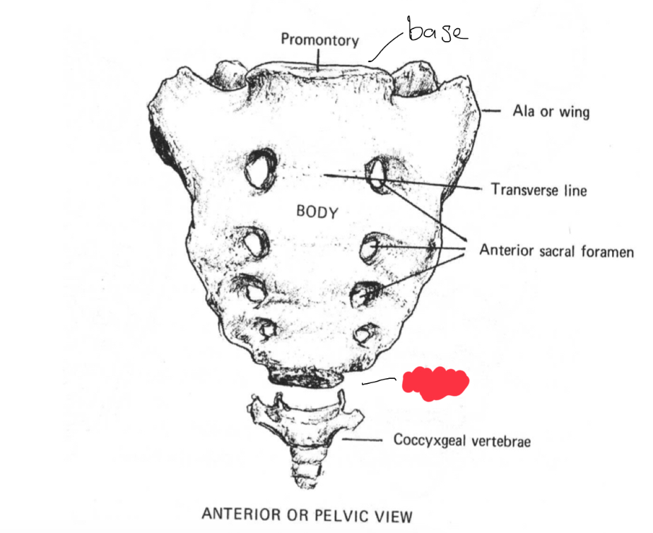 <p>What is this structure?</p>
