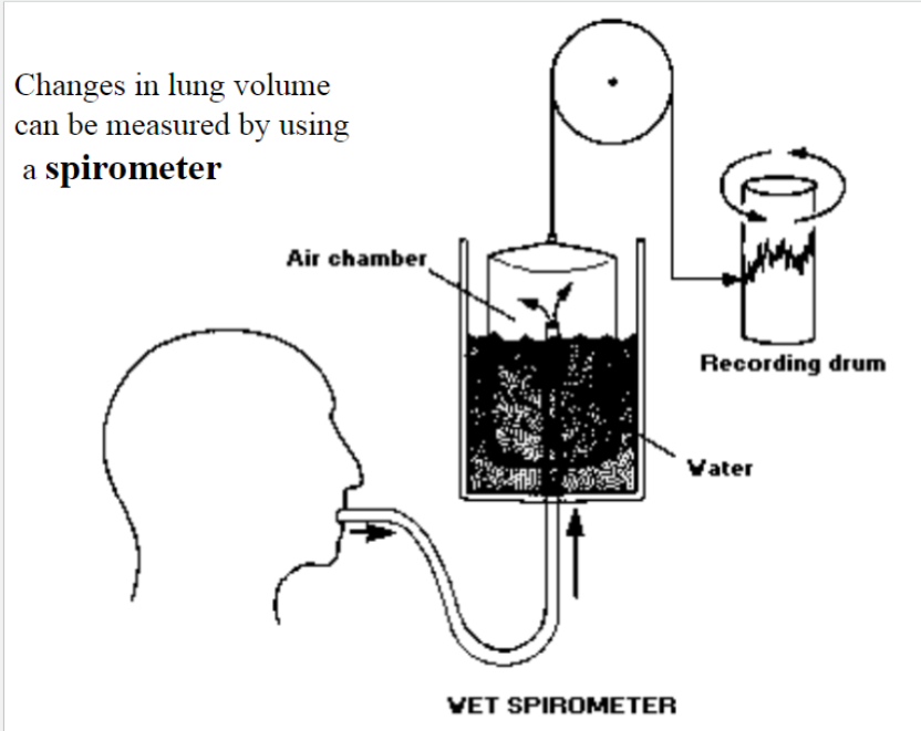 Spirometer diagram