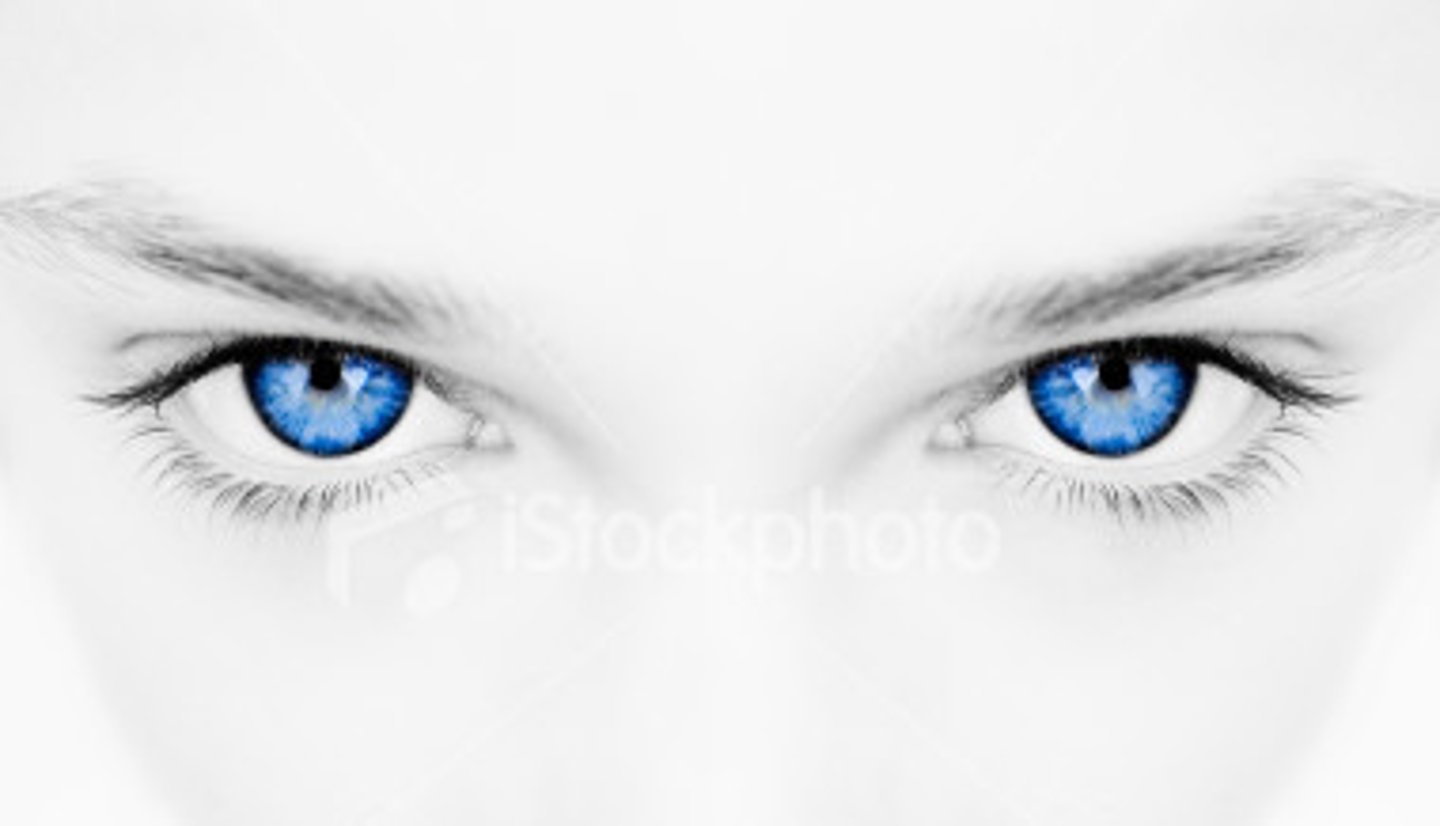 <p>blue eyes</p>