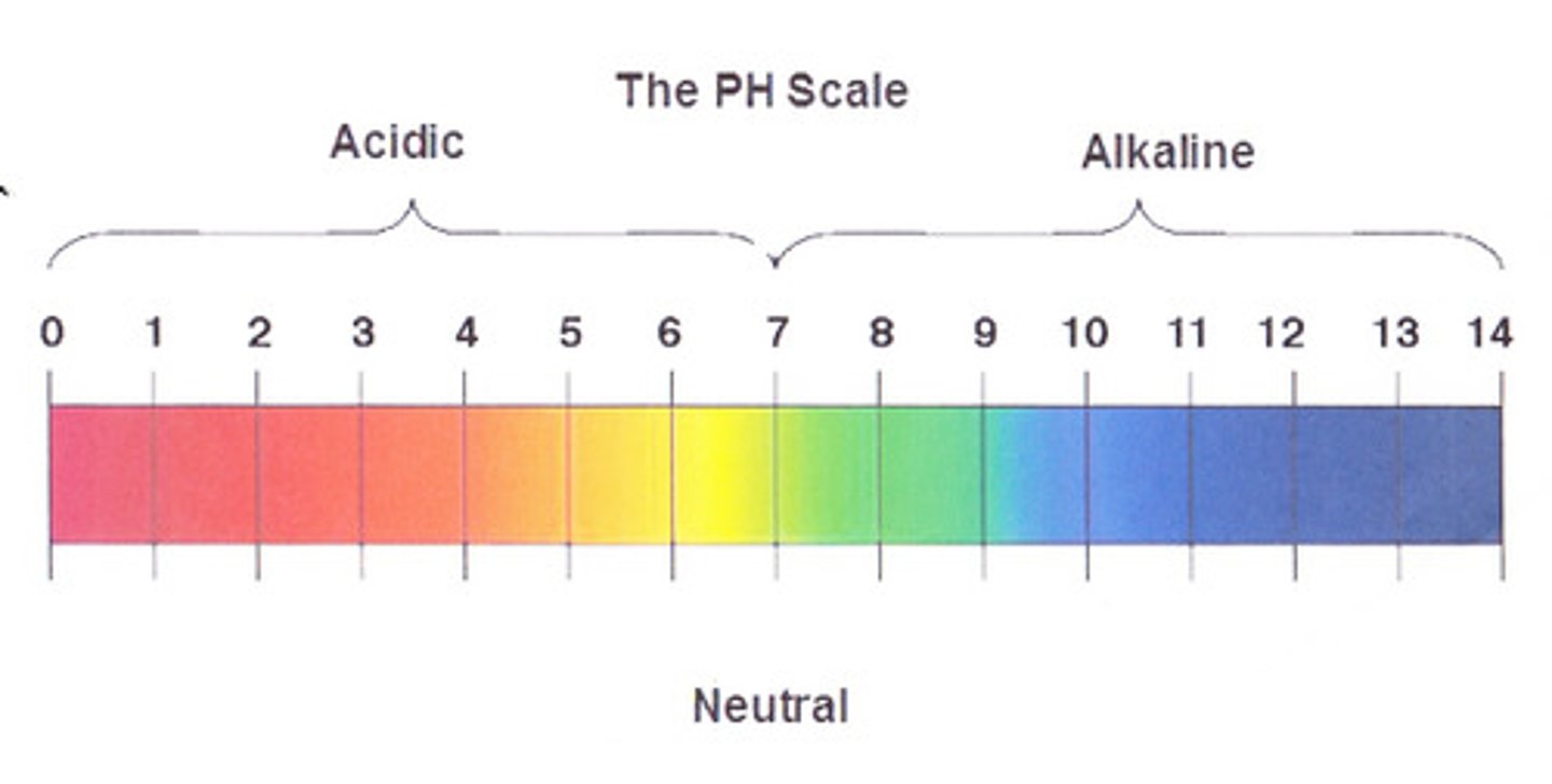 <p>A measure of alkalinity or acidity, measured in a scale from 0 to 14</p>