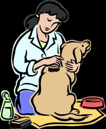 easily managed, obedient, passive