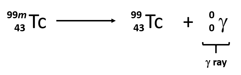 <p>emission of <span>γ rays, which are high-energy (high frequency) photons</span></p><p><span>γ rays carry no charge and simply lower the energy of the parent nucleus without changing the mass number or the atomic number</span></p>