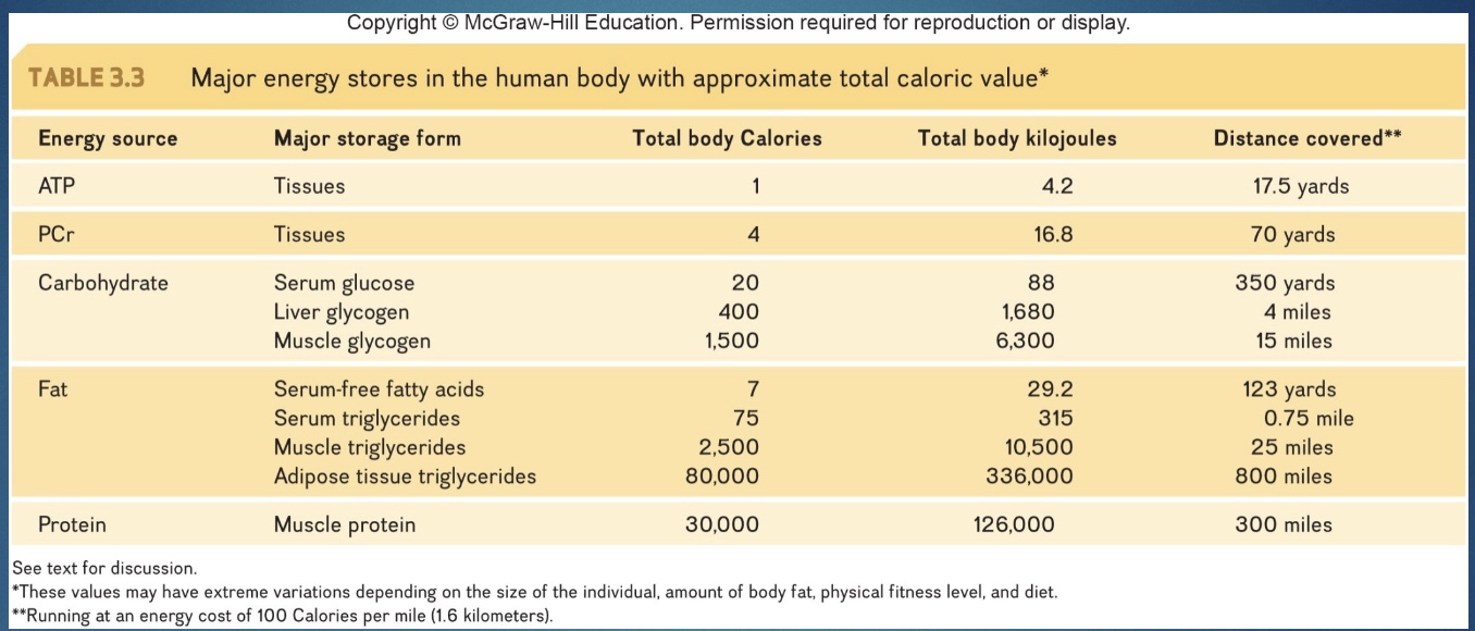 <p>*don’t store much fat in muscle; if do in dark meat/twitch fibers</p><p>-<mark data-color="green" style="background-color: green; color: inherit;">This stored fat represents the largest amount (~80%) of the stored energy in the body</mark> (way more kcal than stored glycogen).</p><p><mark data-color="green" style="background-color: green; color: inherit;">-And at rest, roughly half the body’s energy is derived from its breakdown</mark></p>