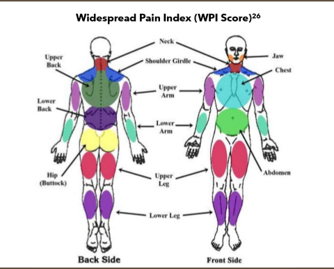 <ul><li><p>not one formal diagnostic test</p></li><li><p>look for:</p><ul><li><p>presence of pain in 6+ body sites with other common fts.</p></li><li><p>identify common comorbidities like IBS, chronic HA, or depression</p></li></ul></li><li><p>ACR criteria—> assigns a widespread pain index (WPI) score</p></li><li><p>SS score</p></li><li><p>clinical diagnosis from WPI or SS score</p></li></ul><p></p>