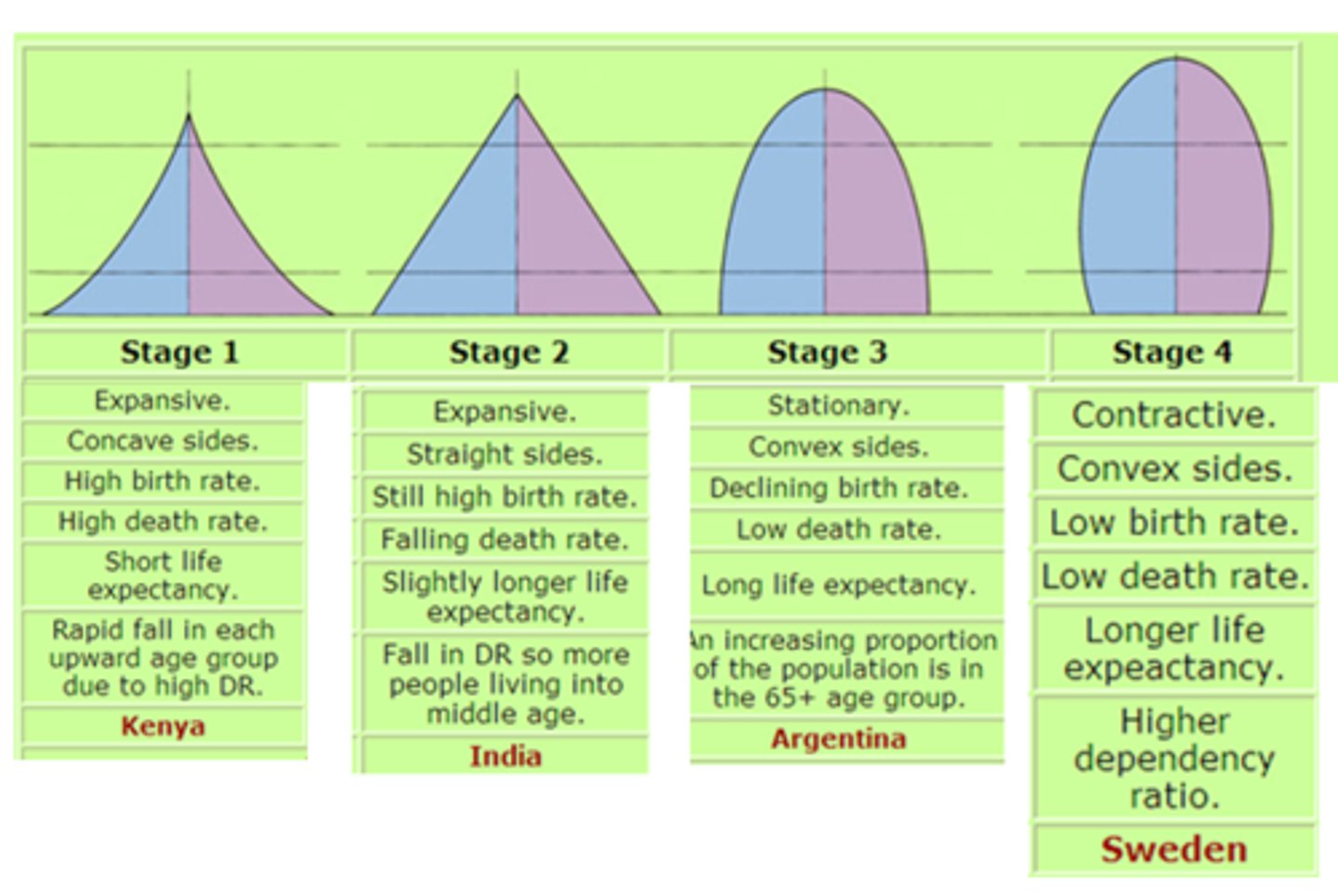 <p>a graph of the population of an area by age and sex - when a population is growing it takes a pyramid shape, hence the name</p>