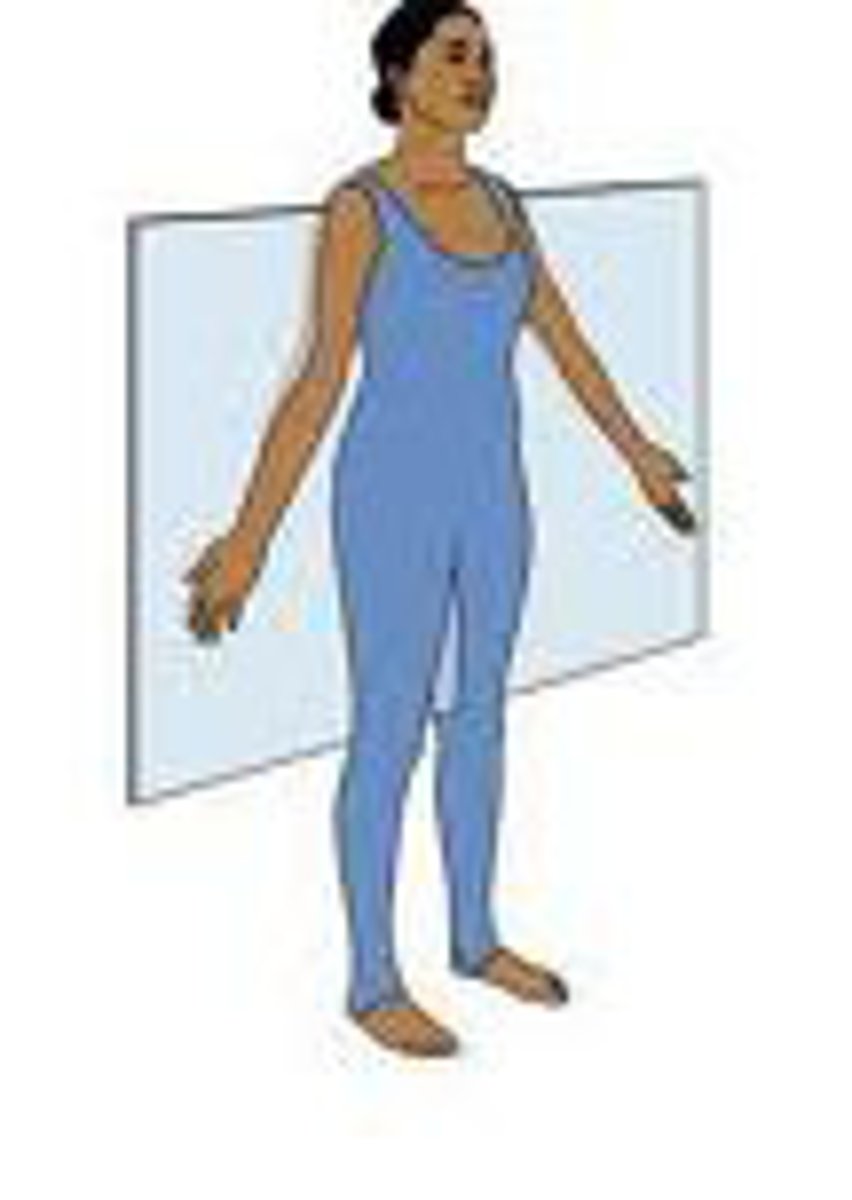 <p>Divides body into anterior + posterior sections</p>