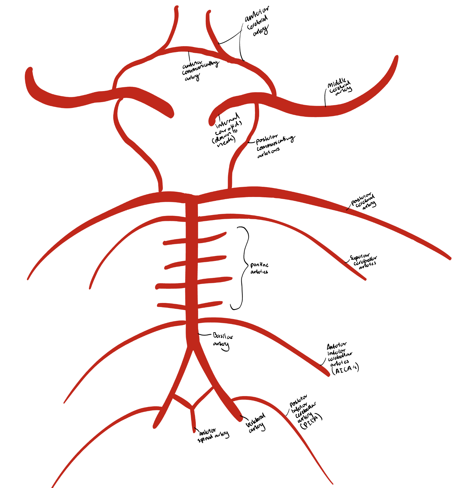 knowt flashcard image