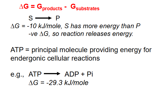 <p>Energetics of Reactions</p>