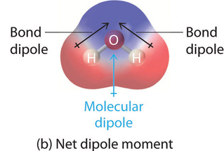 <p>bond dipoles <strong>do not</strong> cancel out, resulting in a net <strong>dipole moment</strong></p><p>usually have…</p><ul><li><p>asymmetric geometry,</p></li></ul><ul><li><p>lone pairs on central atom, or</p></li><li><p>different terminal atoms</p></li></ul><p></p>