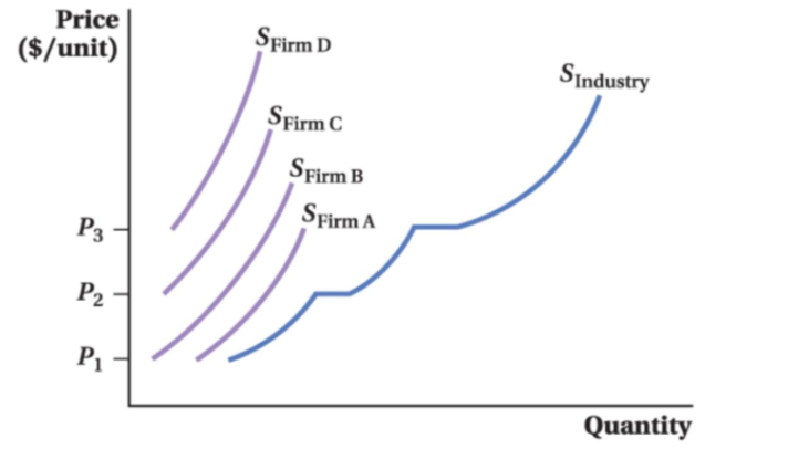 <p><span>Market Supply in a Competitive Market</span></p>