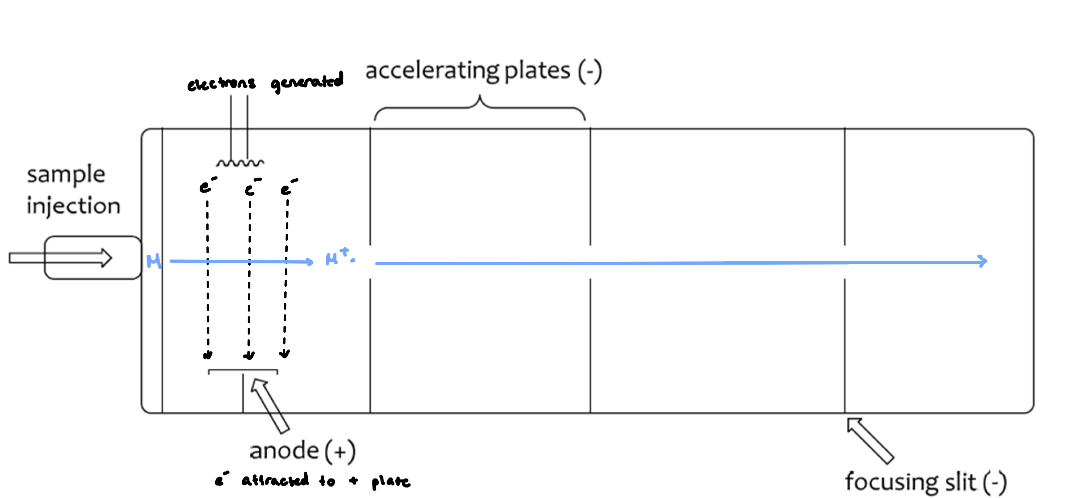 <ul><li><p>large potential difference in accelerating plates (1-10 kV)</p></li><li><p>focusing slit provides a uniform beam of positive ions</p></li><li><p>ionization potential for most organic molecules (8-15 eV)</p></li><li><p>cheap and reliable method</p></li></ul><p></p>