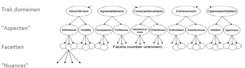 <p>trek domeinen (bijv. “extraversie”) → aspecten → facetten (bijv. “gezellig”) → nuances</p><p><strong>facetten </strong>= kleinere onderdelen van persoonlijkheid die specifieker zijn dan de big five eigenschappen, die helpen om iemands persoonlijkheid gedetailleerder te beschrijven → er is geen universeel geaccepteerde lijst met facetten</p><p></p>