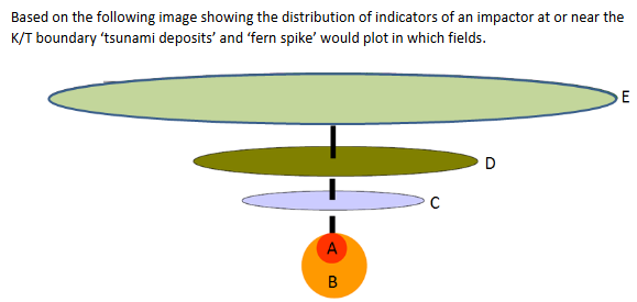 <p>(a) tsunami deposits = D fern spike =E</p><p>(b) tsunami deposits = B fern spike =C</p><p>(c) tsunami deposits = E fern spike =C</p><p>(d) tsunami deposits = A fern spike =B</p>