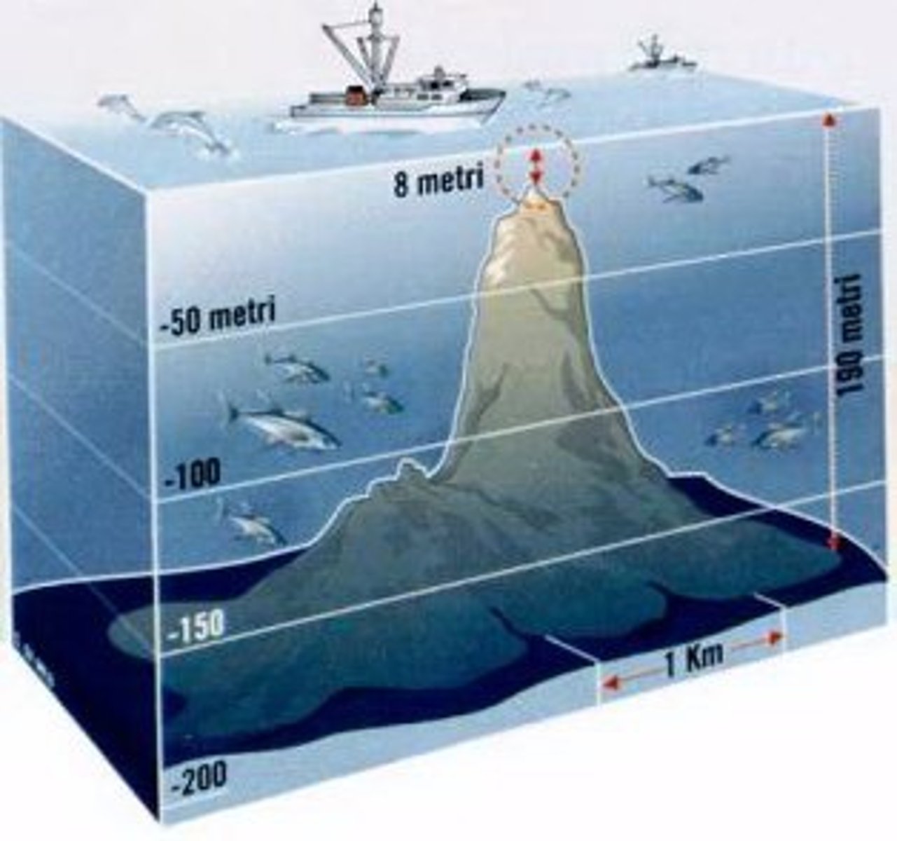 <p>underwater sea mountains</p>