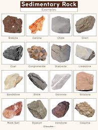 <p>Rocks formed at the surface, by deposition of detrital grains or by precipitation from solution in water.</p>