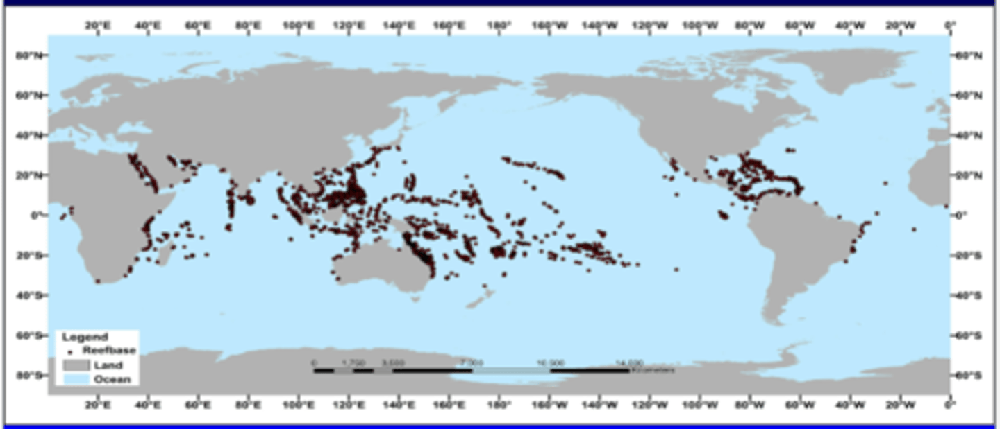 <p>- calcification rates</p><p>- photosynthetic algae</p><p>- sensitive to pollution</p><p>- need firm substrate for attachment</p>
